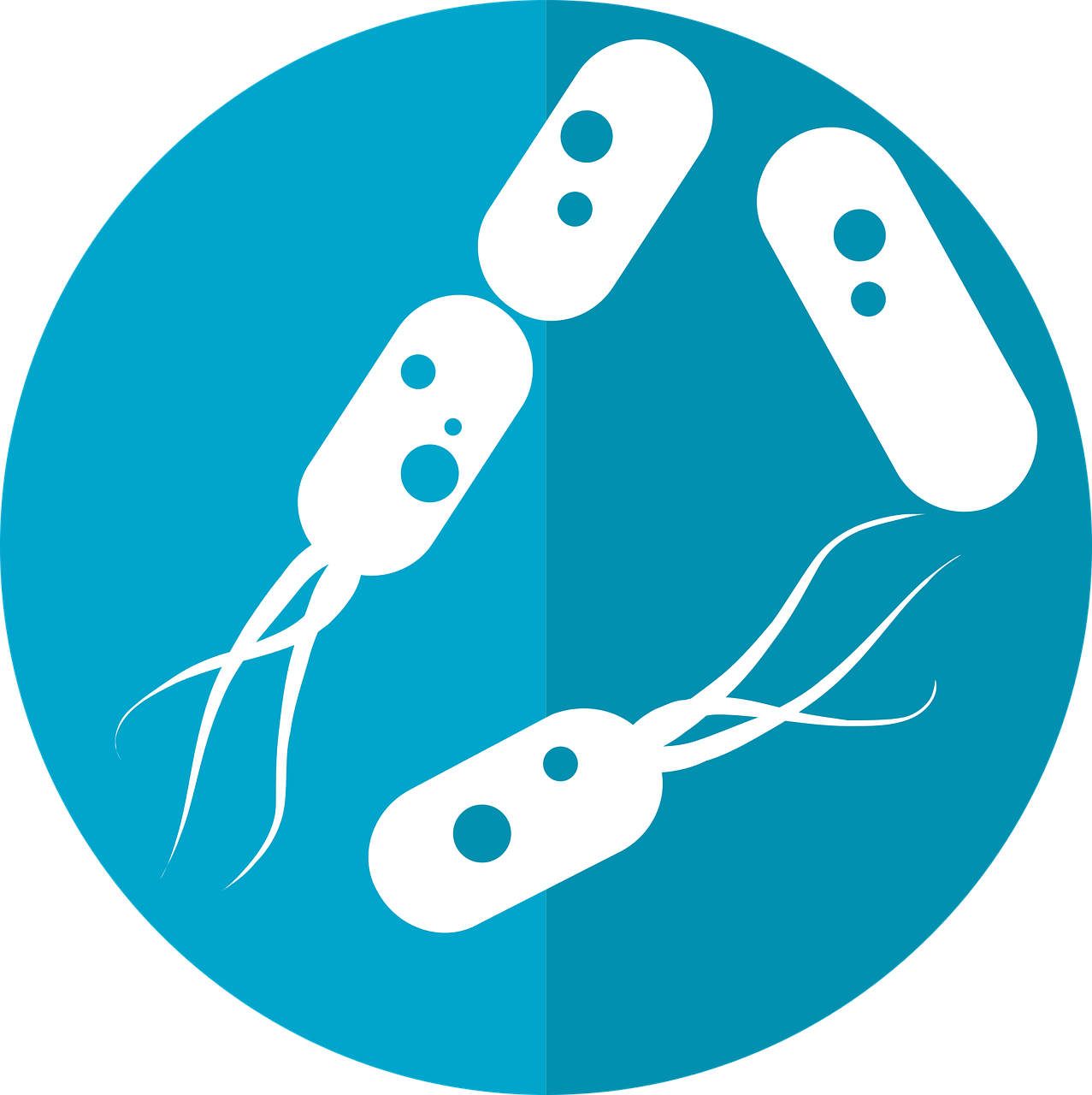 bacteria-icon-microbiome-icon-gut-bacteria, Human Microbiome